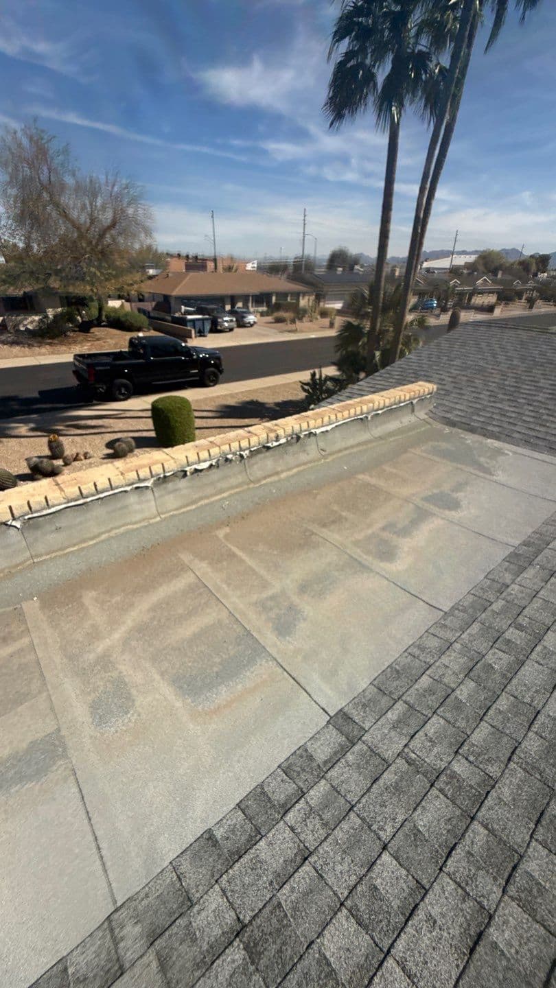 View from a roof showing shingles, palm trees, and a neighborhood street below.